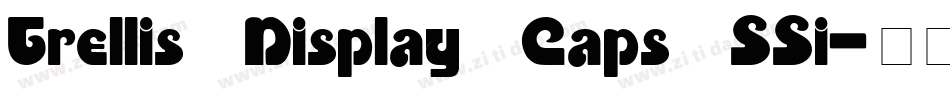 Trellis Display Caps SSi字体转换
